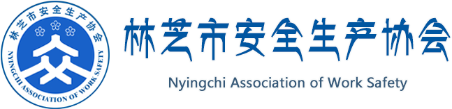 林芝市安全生产协会